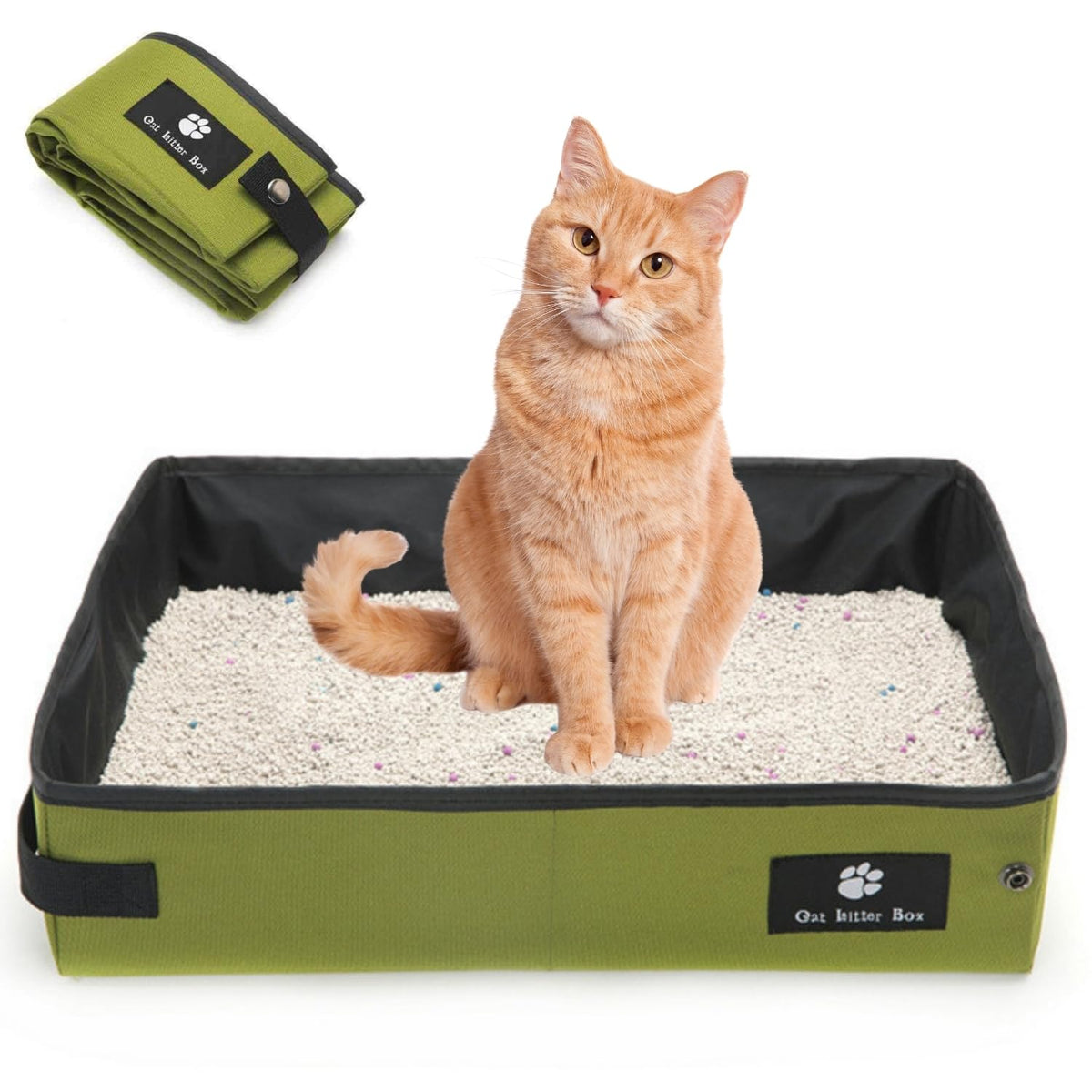Foldable Travel Litter Box — Waterproof, Green
