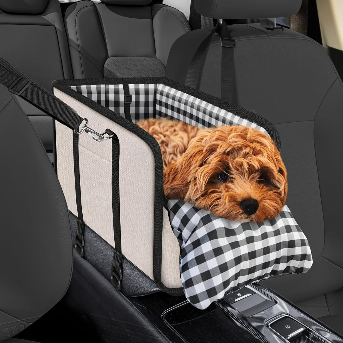 Portable Pet Car Seat & Cats