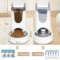 Automatic Cat Feeder & Water Dispenser Set