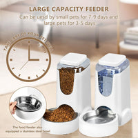 Automatic Cat Feeder & Water Dispenser Set