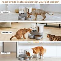 Automatic Cat Feeding Station with Water Dispenser