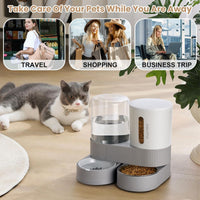 Automatic Cat Feeding Station with Water Dispenser