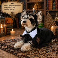 Halloween Pet Costume Dog Wizard Costume Cat Wizard Costume