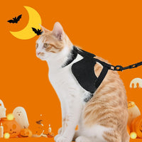 Cat Harness and Leash with Bat Wings