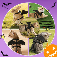 Cat Harness and Leash with Bat Wings