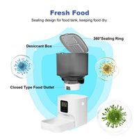 Programmable Automatic Cat Feeder 4L