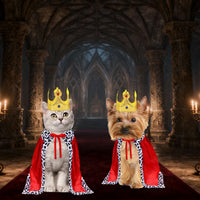 Cat Halloween Costume Cat King Costume Red Cape For Cat Gold