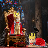 Cat Halloween Costume Cat King Costume Red Cape For Cat Gold