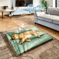 Warm Dog Bed Washable Pet Bed Dog Bed High Backrest Dog Bed