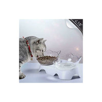 Orthopedic Double Cat Bowl — 15° Tilt, Anti-Vomit