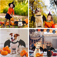 Dog Costume - Dog Halloween Costume With Pumpkin Bell