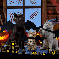 Dog - Cat - Creative Animal Clothing - Dog Costume - Halloween
