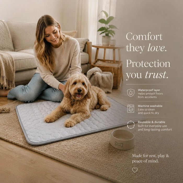 2pcs Grey Ice Silk Pet Pad