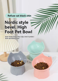 Raised Cat Bowl with Long Ears Capacity Tilted Pet Food Bowl