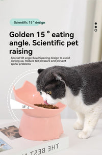 Raised Cat Bowl with Long Ears Capacity Tilted Pet Food Bowl