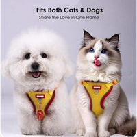 Cat Harness Leash Set, Escape-Proof Reflective Air Mesh Vest