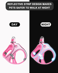 Dog Harness Leash Set Reflective Soft Mesh No Pull Pet Vest
