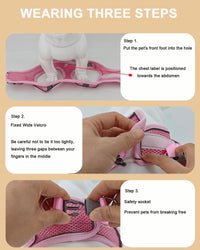 Dog Harness Leash Set Reflective Soft Mesh No Pull Pet Vest