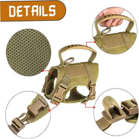 Escape-Proof Cat Harness & Lead Set — Khaki