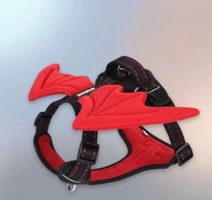 3D Angel and Devil Wing Harness and Leash Set