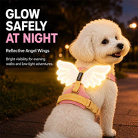 Adorable Angel Wings Dog Harness with Glowing 3D Luminous