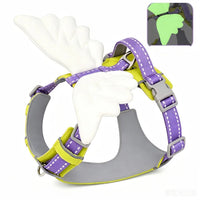 Adorable Angel Wings Dog Harness with Glowing 3D Luminous