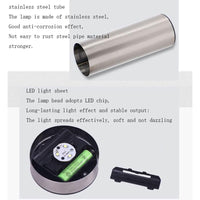 Solar Garden Pathway Light — Stainless Steel with Auto Sensor (1 Pack)