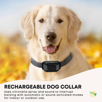 Rooster Farms Dog Bark Training Collar Citronella + Sound
