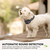 Rooster Farms Dog Bark Training Collar Citronella + Sound