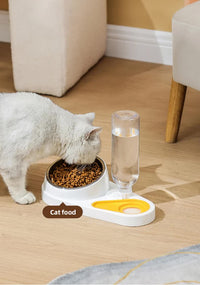 Bowl Set with Gravity Water Dispenser — Green & Yellow