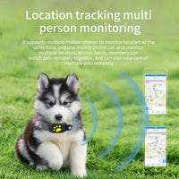 Real-Time Pet GPS Tracker Locator - Magnetic Charging