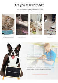 Elevated Pet Feeding Bowl with Stainless Steel Inner