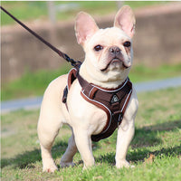 Reflective Mesh Dog Harness and Leash Set - Adjustable No-Pull