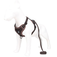 Reflective Mesh Dog Harness and Leash Set - Adjustable No-Pull