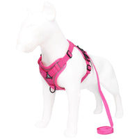 Reflective Mesh Dog Harness and Leash Set - Adjustable No-Pull