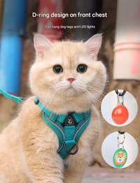 Reflective Mesh Dog Harness and Leash Set - Adjustable No-Pull