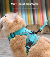 Reflective Mesh Dog Harness and Leash Set - Adjustable No-Pull