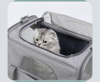 Foldable Soft-Sided Pet Carrier for Travel - Fits Cats