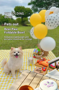 Portable Silicone Double Pet Bowl - Collapsible Travel Dog