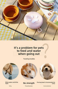 Portable Silicone Double Pet Bowl - Collapsible Travel Dog