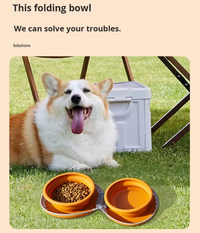 Portable Silicone Double Pet Bowl - Collapsible Travel Dog