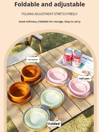 Portable Silicone Double Pet Bowl - Collapsible Travel Dog