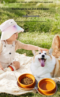 Portable Silicone Double Pet Bowl - Collapsible Travel Dog