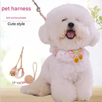 Lace Y-Shaped Pet Harness and Leash Set - Breathable Mesh Vest