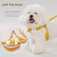 Lace Y-Shaped Pet Harness and Leash Set - Breathable Mesh Vest