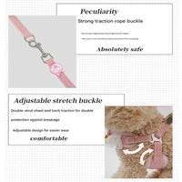 Lace Y-Shaped Pet Harness and Leash Set - Breathable Mesh Vest