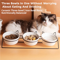 Triple Ceramic Bowl Set with Stand — 3 x 300ml, Blue