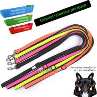 Vibrant Reflective Dog Collar and Leash Set - Adjustable Nylon