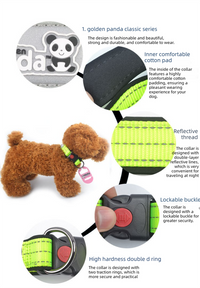 Vibrant Reflective Dog Collar and Leash Set - Adjustable Nylon