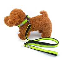 Vibrant Reflective Dog Collar and Leash Set - Adjustable Nylon
